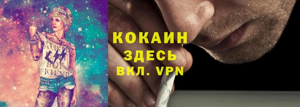 шишки Арсеньев