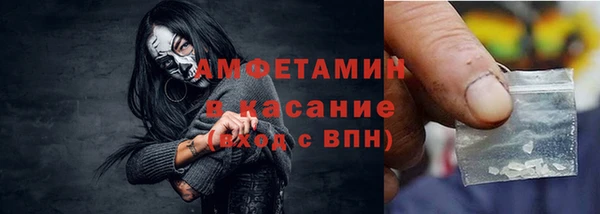 шишки Арсеньев