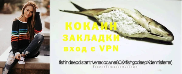 шишки Арсеньев