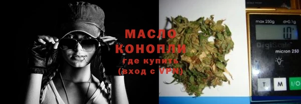 шишки Арсеньев