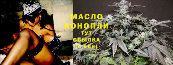 шишки Арсеньев