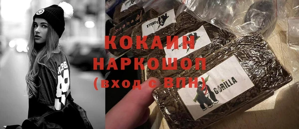 шишки Арсеньев