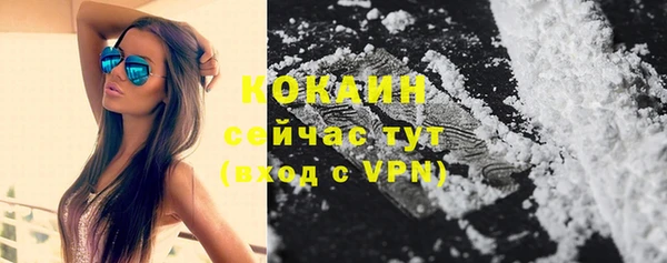 шишки Арсеньев