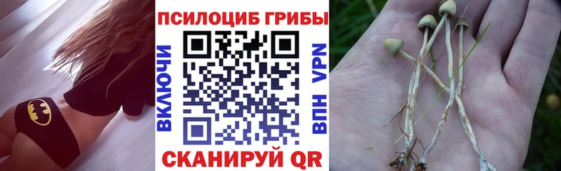 Галлюциногенные грибы мицелий  закладка  Пудож 